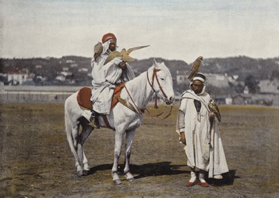 Falcon Hunting by European Photographer
